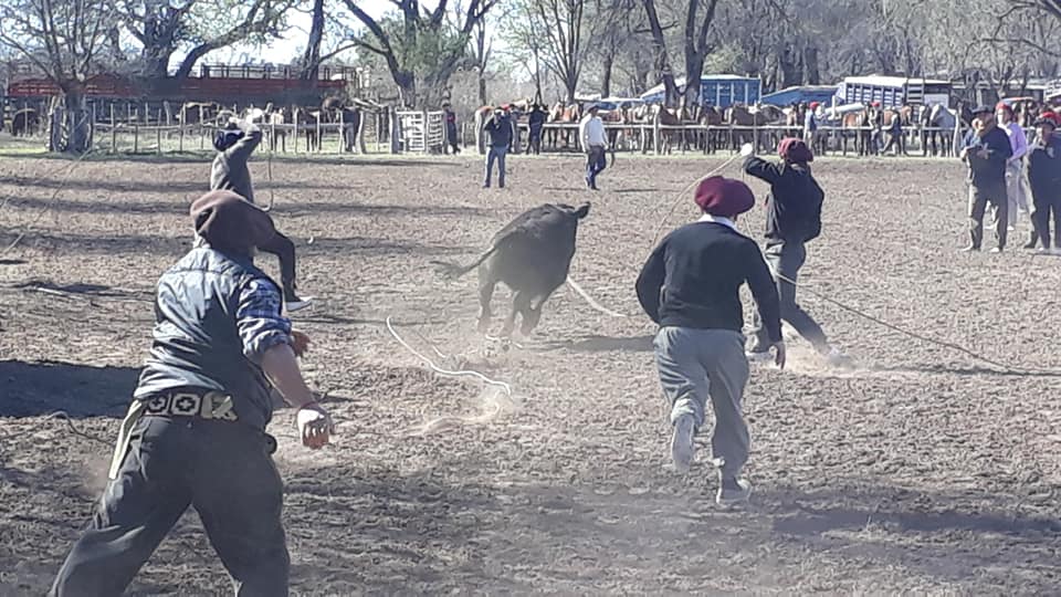 69887772_2642845575727098_2690566156451840000_n