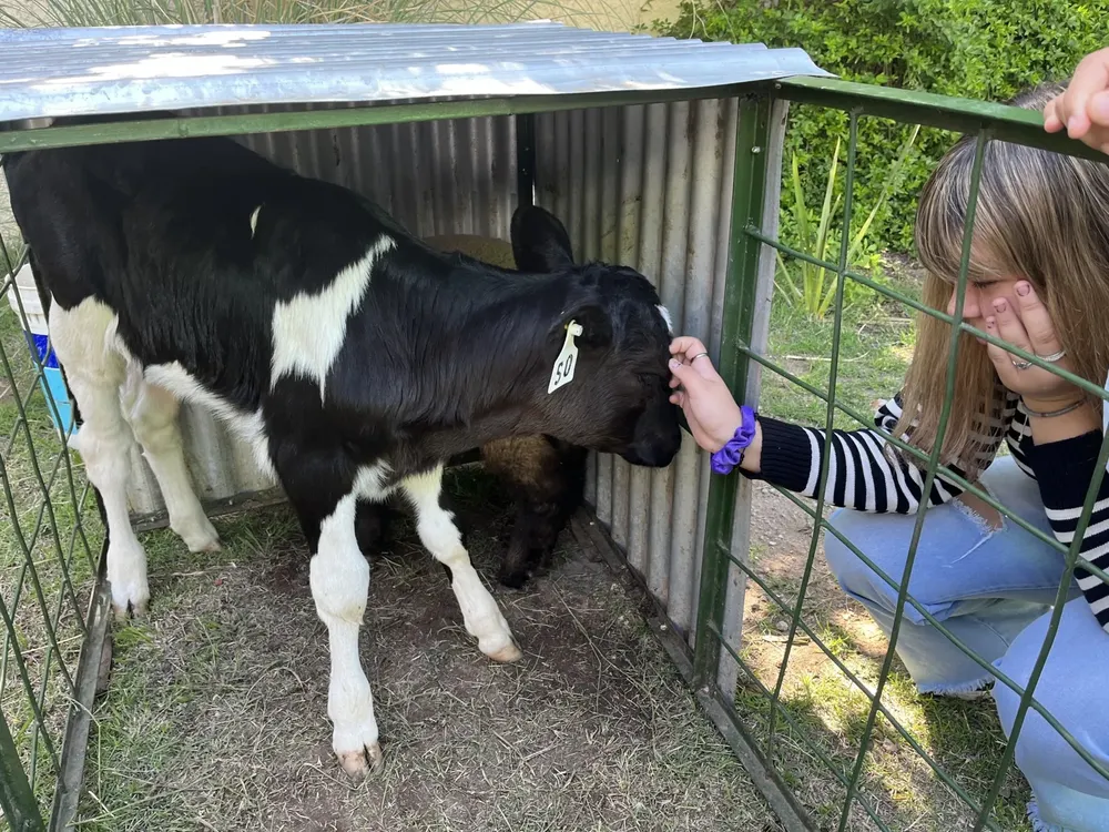 agropecuario muestra trabajos 2023 11 (FILEminimizer)