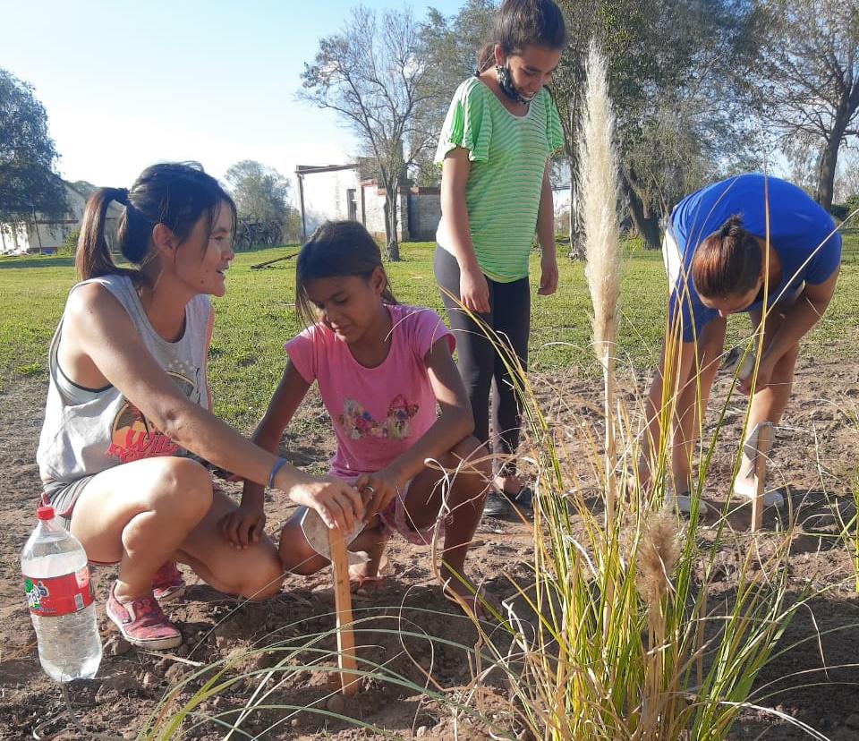 cc1c87fe-a466-475c-9de6-38e213dc148e