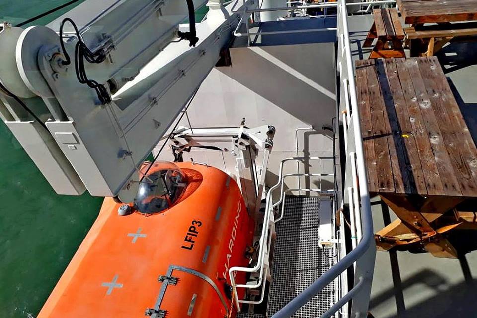 46458062_10215386145240191_4853152550142083072_n