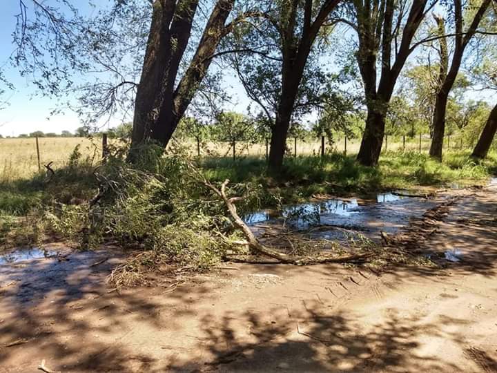 FB_IMG_1546189657454