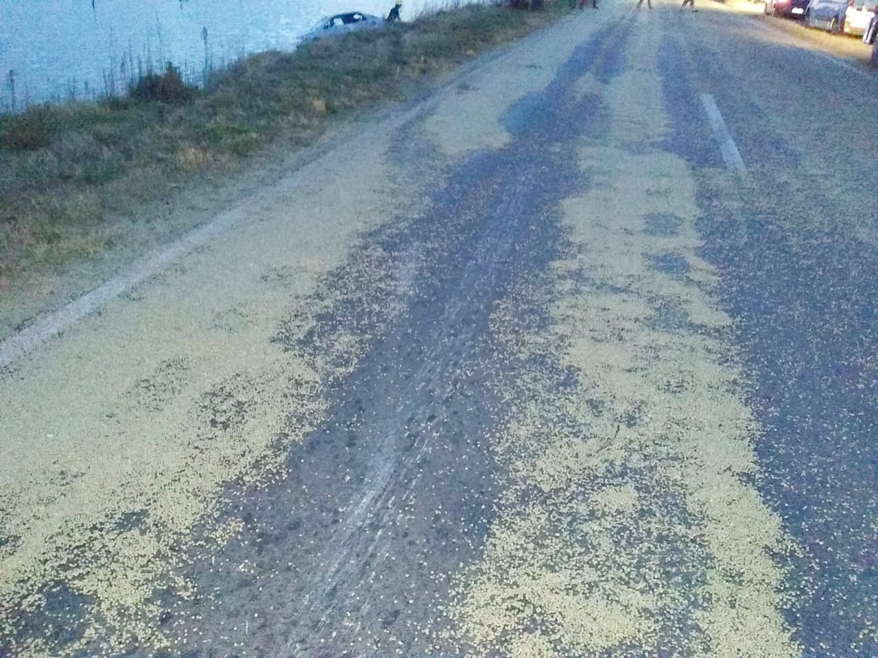 d674baa0-e005-455e-9960-f1f6a7eb35eb