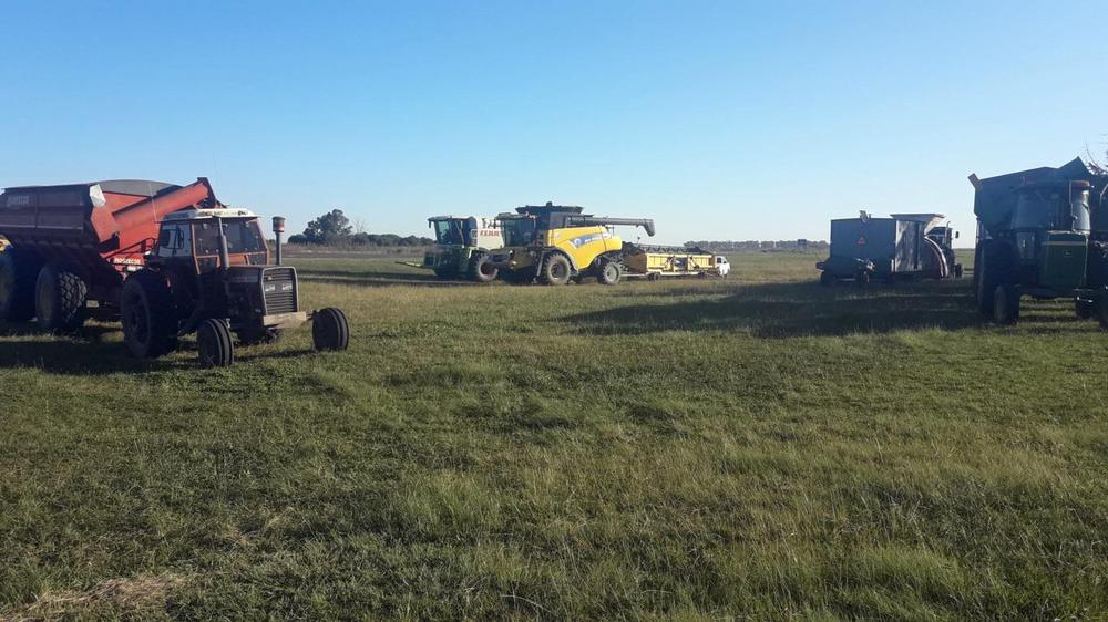 TREN DE COSECHA EN INFRACCIÓN 008 (1) (FILEminimizer)