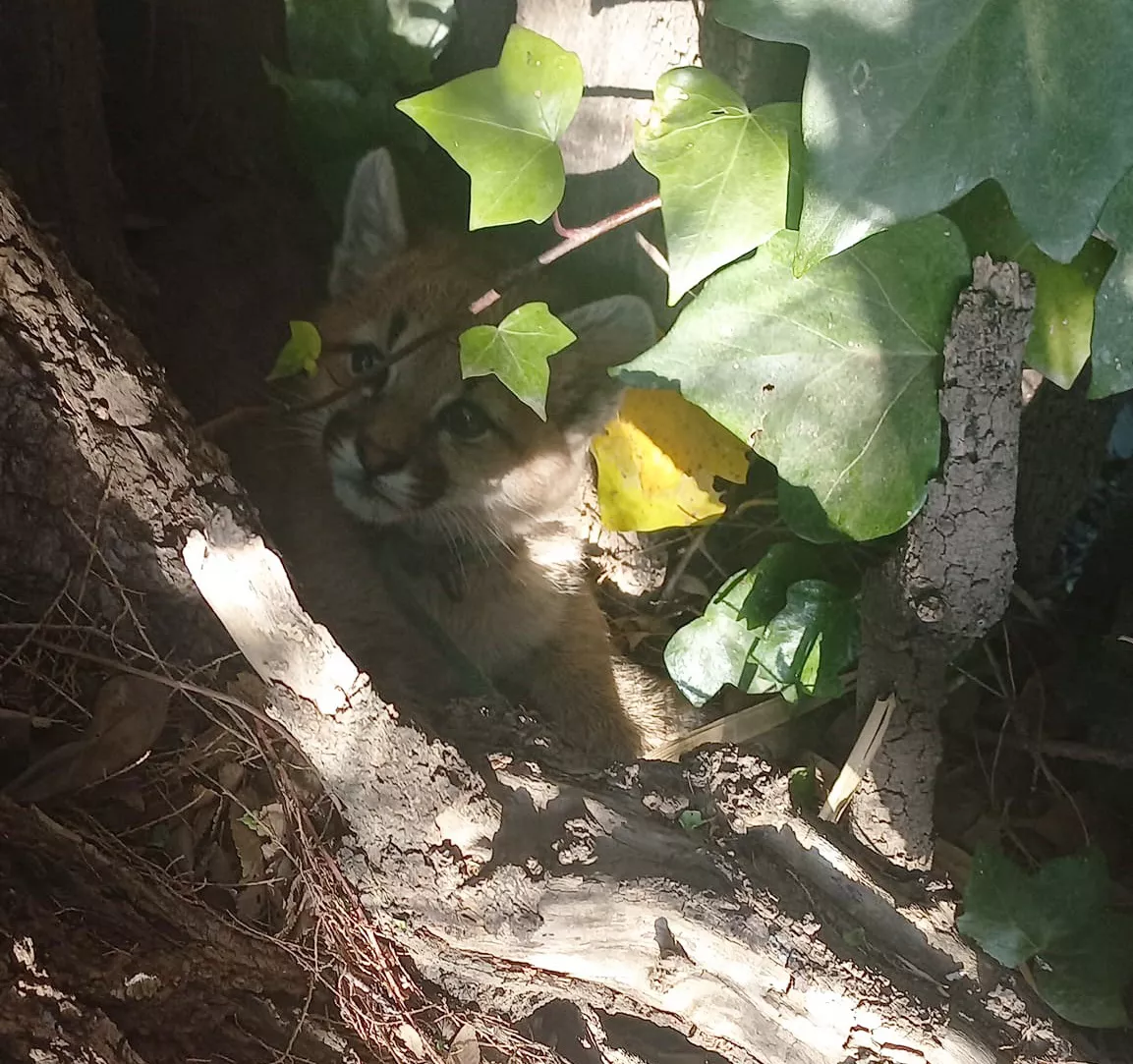 305394323_1223879505056865_6455686279876439561_n