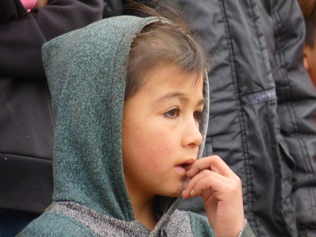 P1250468 (FILEminimizer)