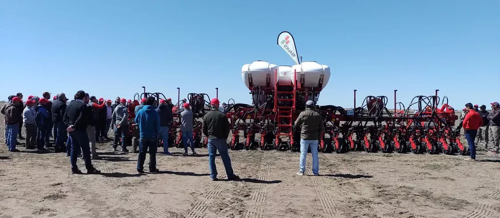 crucianelli 18 (FILEminimizer)