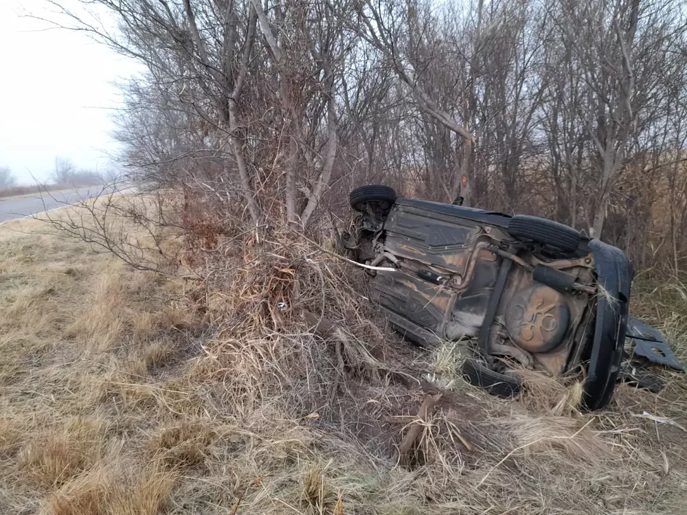 d4f1c45c-29a9-400e-bddb-d46be241898a