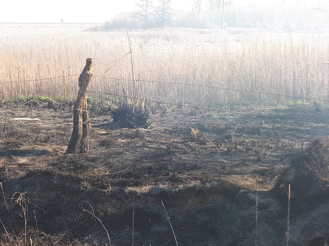 ca5c45d8-2280-4387-a019-437b4cdcd5a8