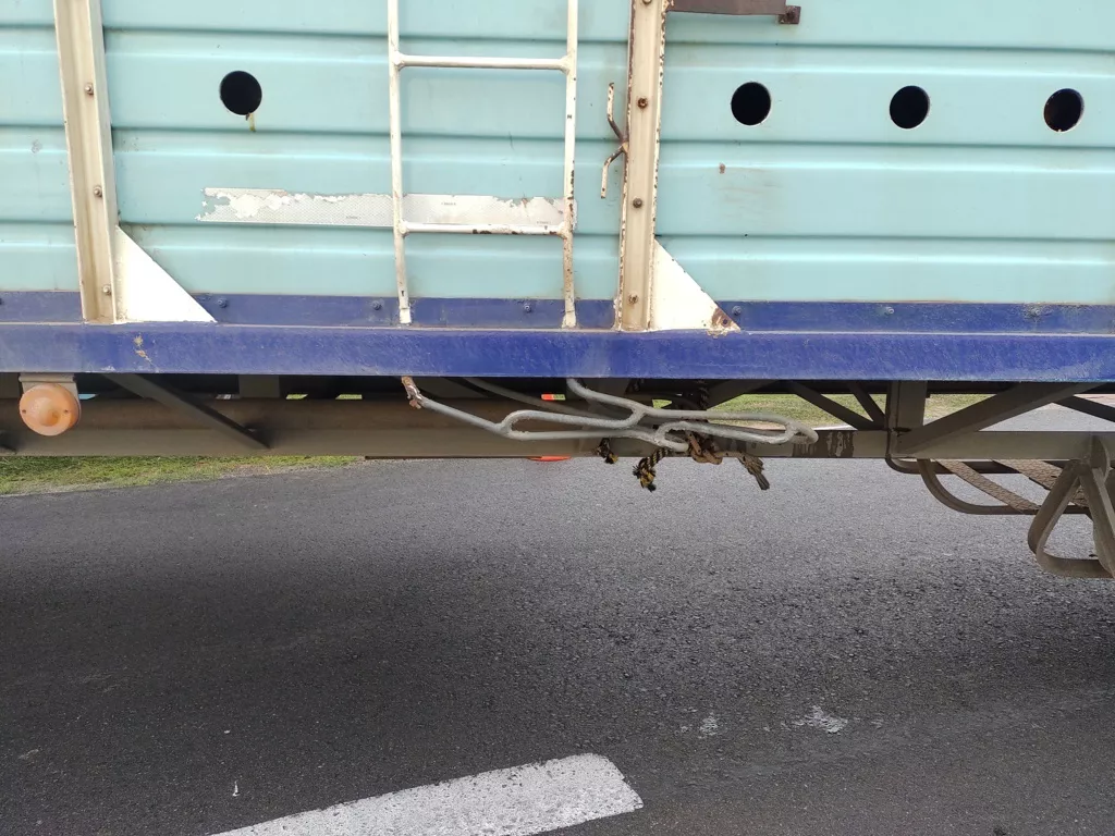 IMG_20211222_071810395 (FILEminimizer)