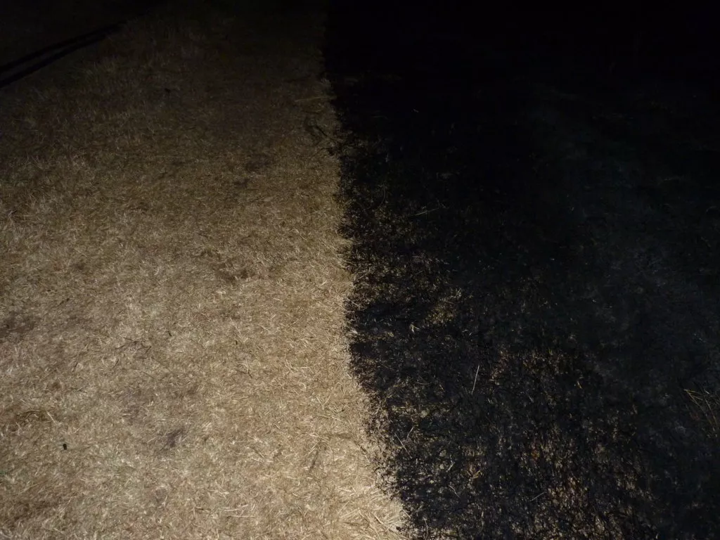 P1140015 (FILEminimizer)