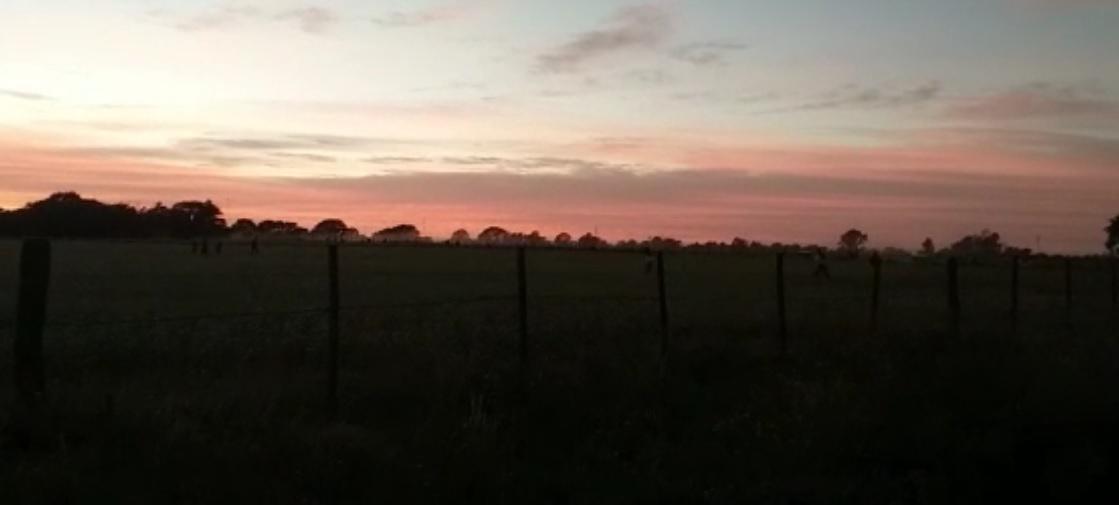 fiesta clandestina 2