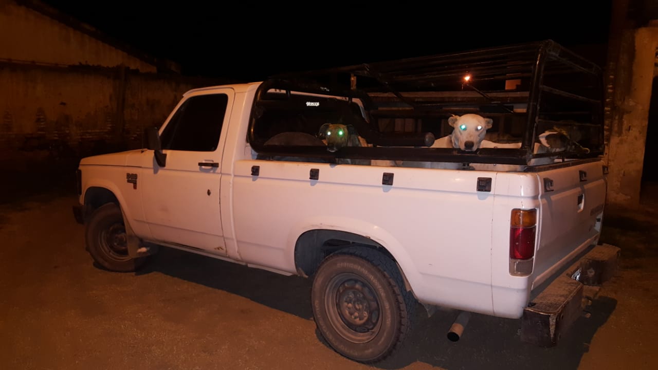 56efd6c6-4027-49cd-a31b-3d068c82cd06