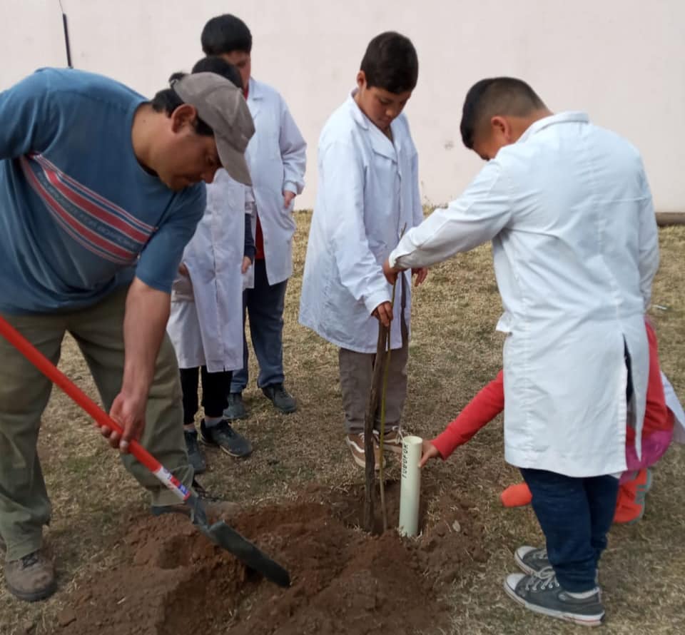 69899335_2636238099721179_3311242171138441216_n