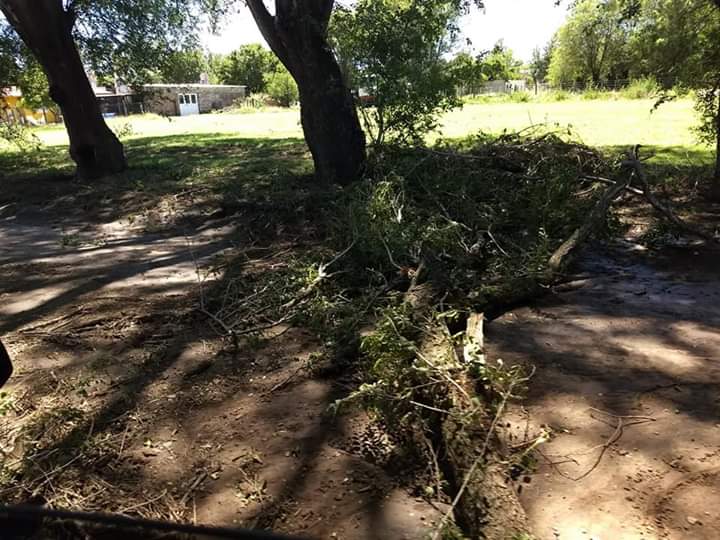 FB_IMG_1546189654517