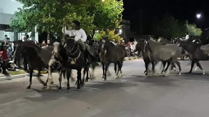 FB_IMG_1573354909361