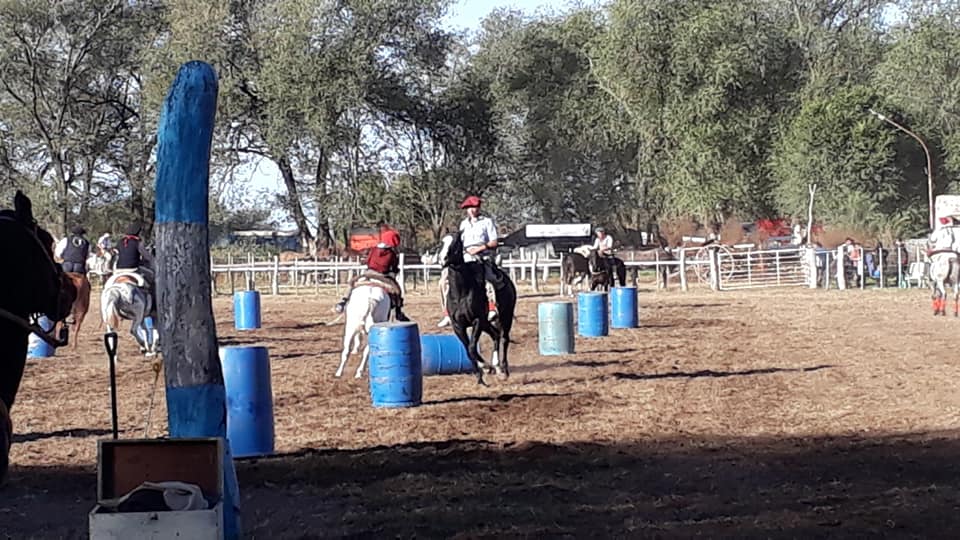 61278358_2464002256944765_4975452602889142272_n