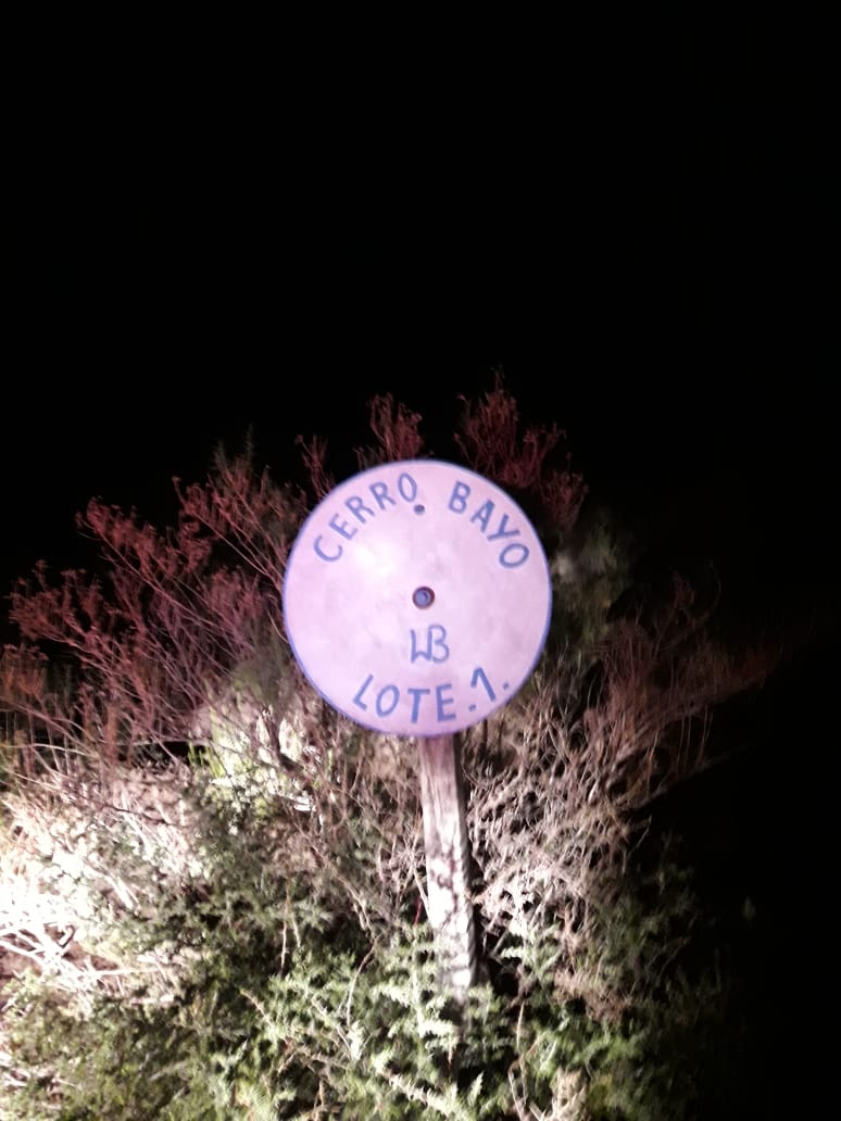 ade2f1d7-0cf4-4519-9811-dc13f843fa31