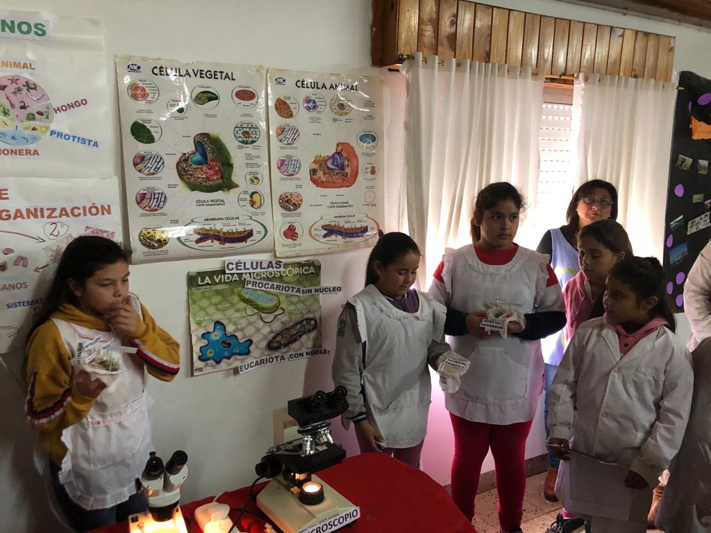 d443dd7f-a7a1-4eb7-8b5d-69274138596b