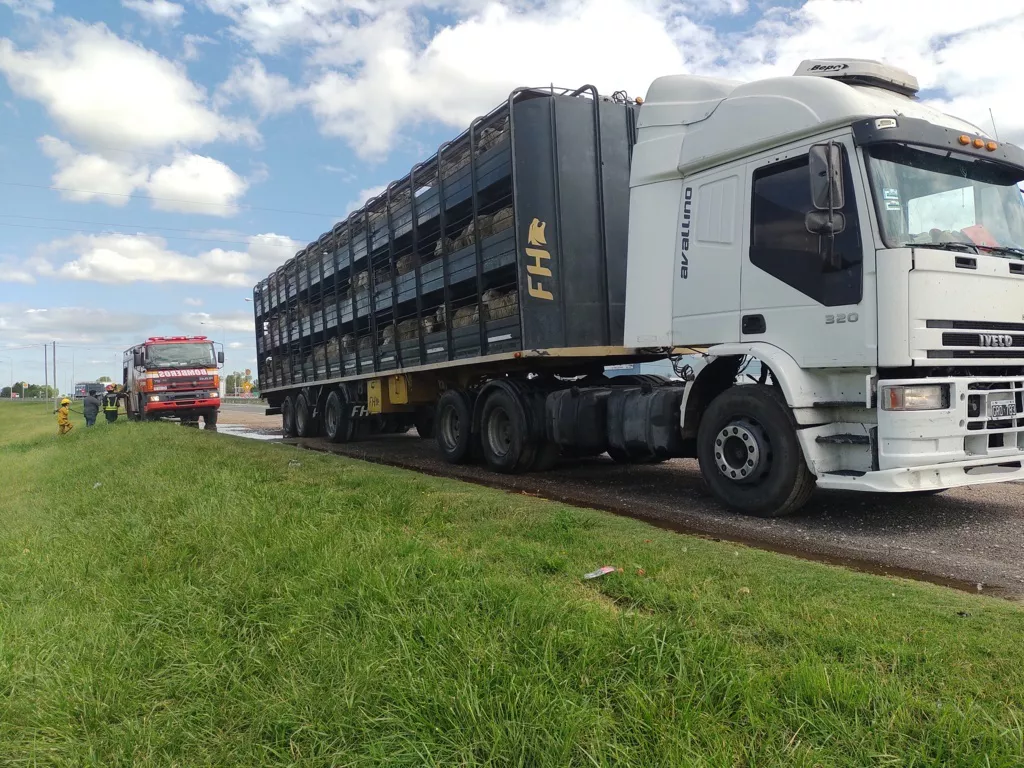 ovejas 4 (FILEminimizer)