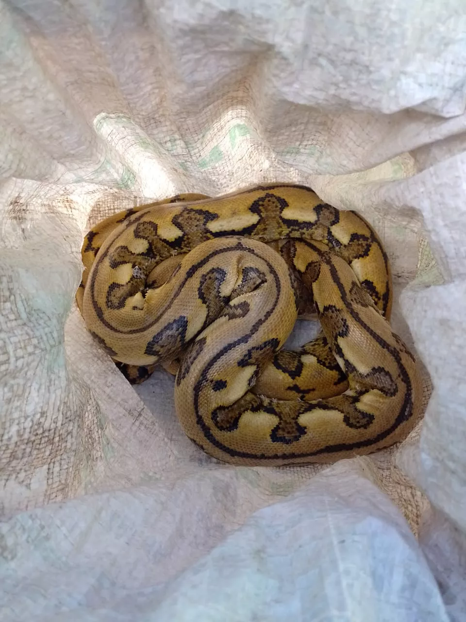 22ef486d-7925-401e-b147-533581a1c240