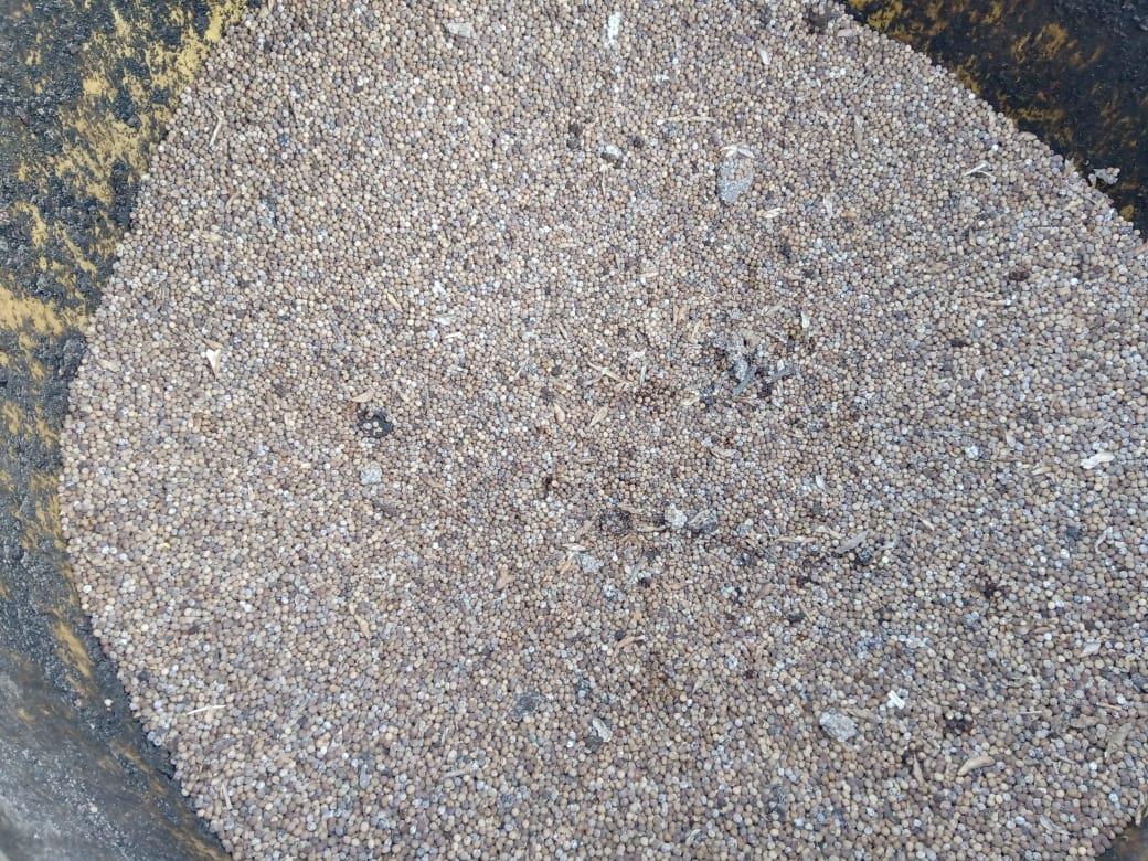 97fddc96-ce1b-4282-8aec-83dc58b43cb8