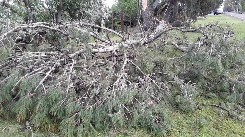 245692455_212143774345494_218590810357511239_n