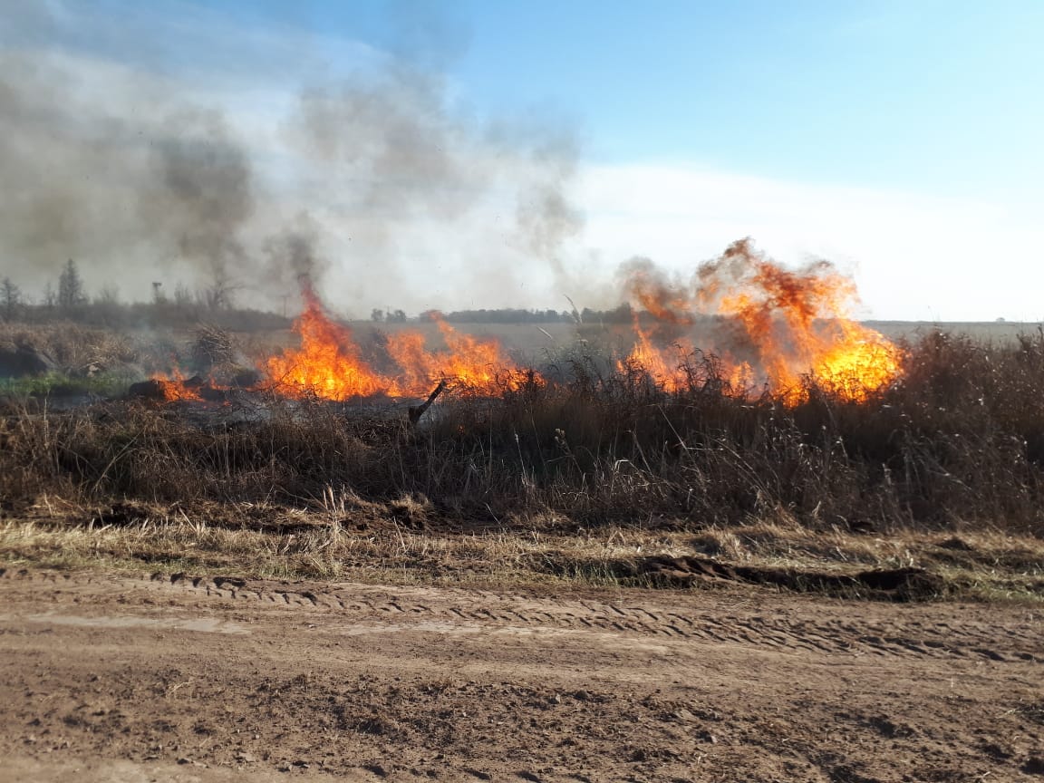 d2236d07-e55c-40d0-923c-ebd171abf92a