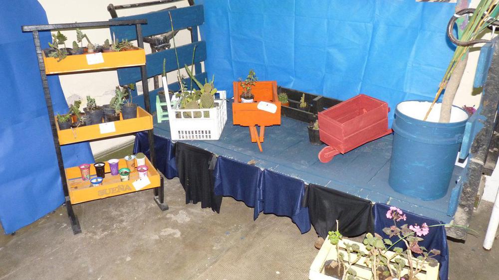 P1070229 (FILEminimizer)