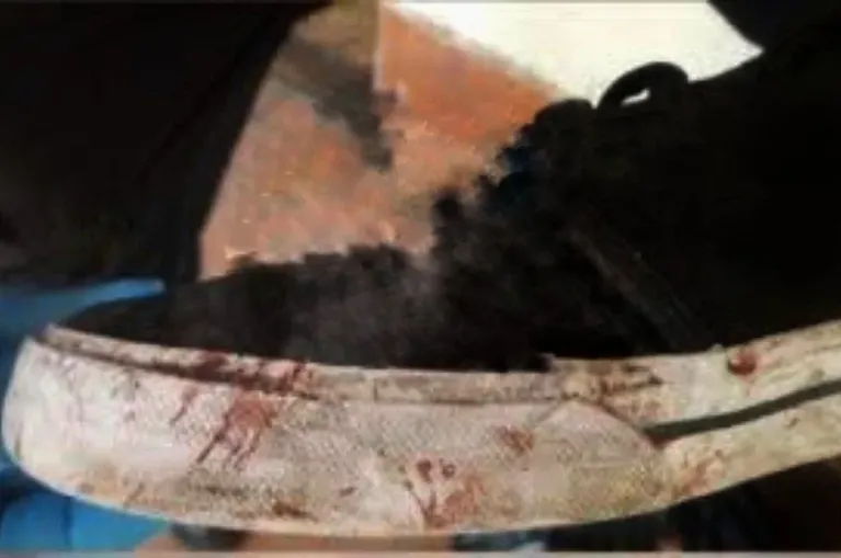 VL7EVBDUZRGPTJZ4U4DGFQ6N5A