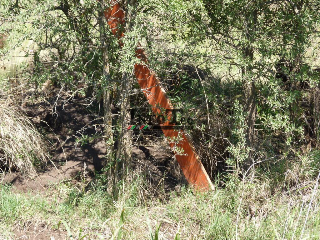 P1320614 (FILEminimizer)