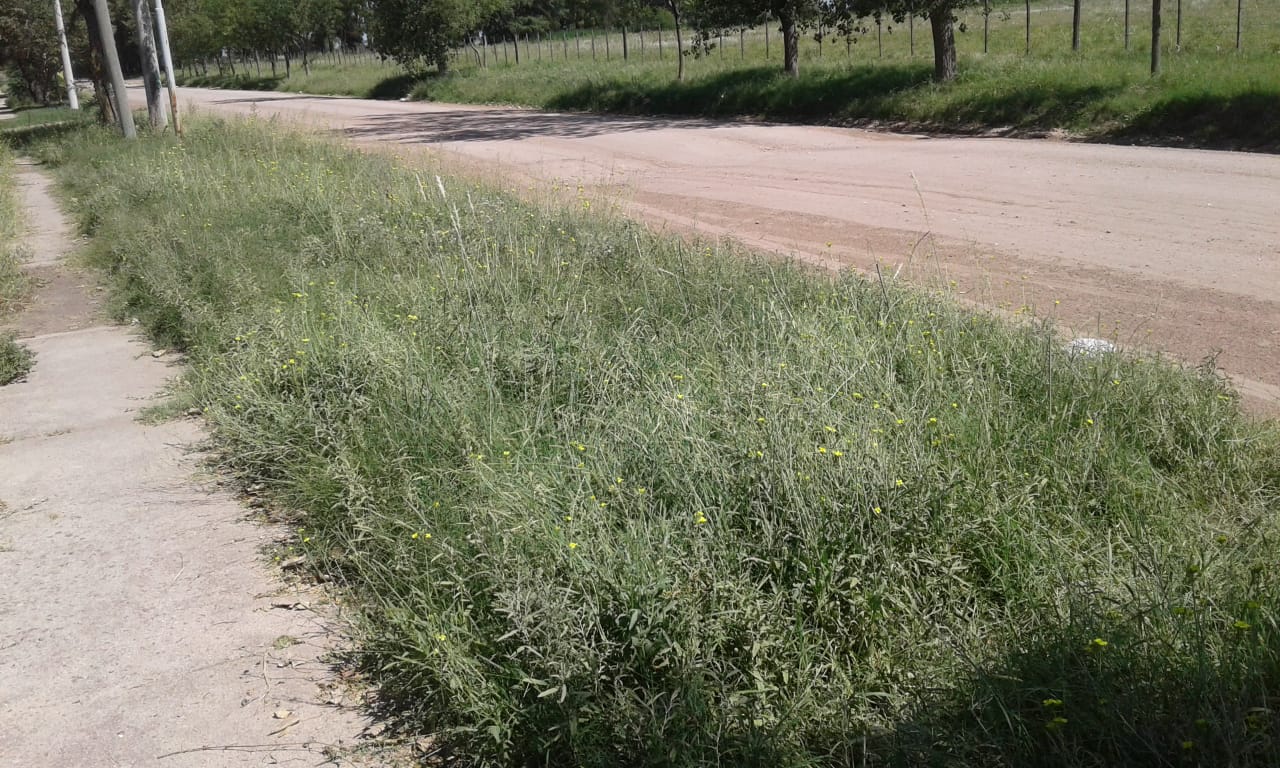 103b2b7e-8d55-4335-83e9-cdfc23313370