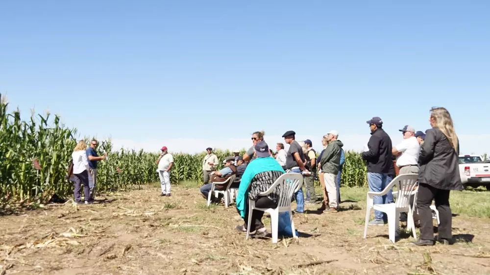 2228224_-000013- (FILEminimizer)