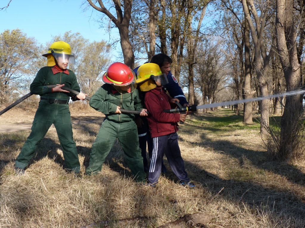 P1210830 (FILEminimizer)