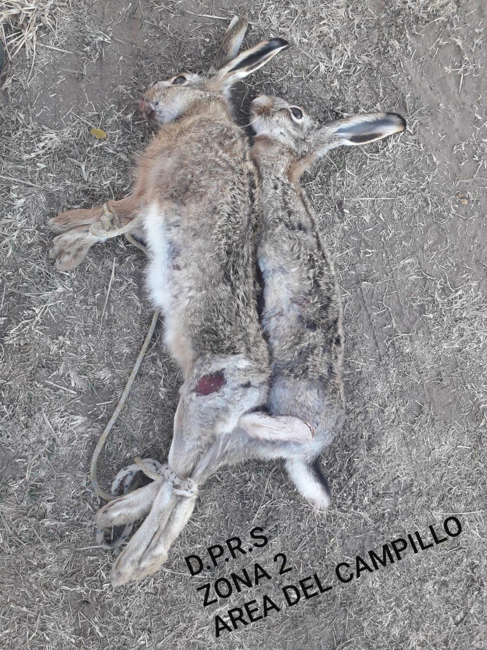 f7844cda-85da-4d7c-8abb-b2fee6dbdaf7