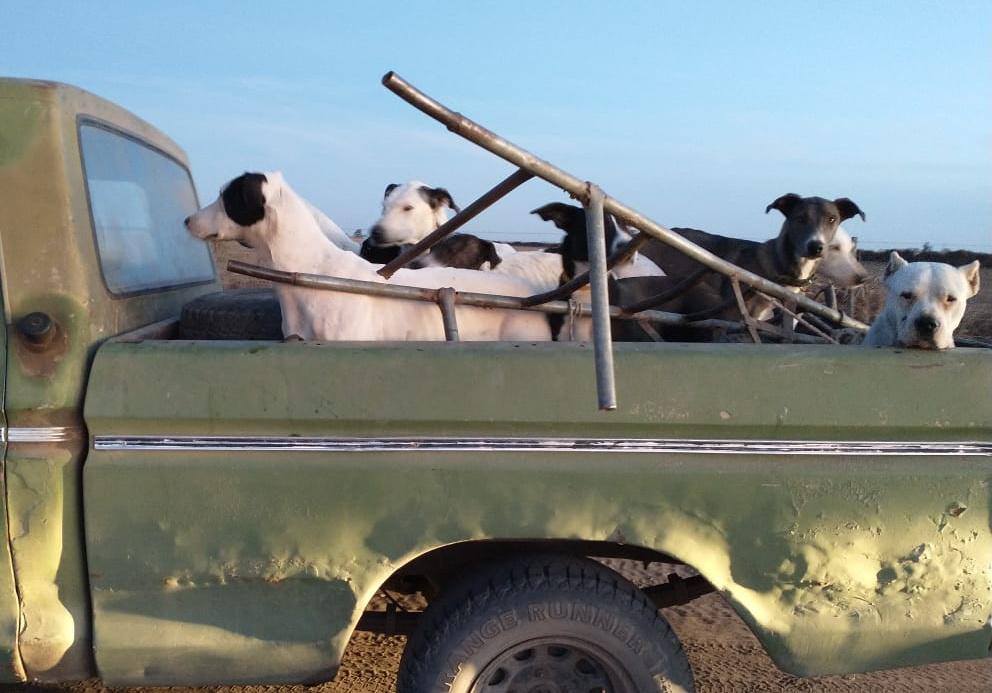 e8c5e80a-d21f-41e2-aca8-60df4341610f