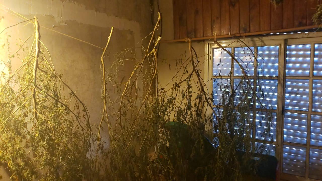 f1b4ed02-0225-492f-b4c6-75eed5640894