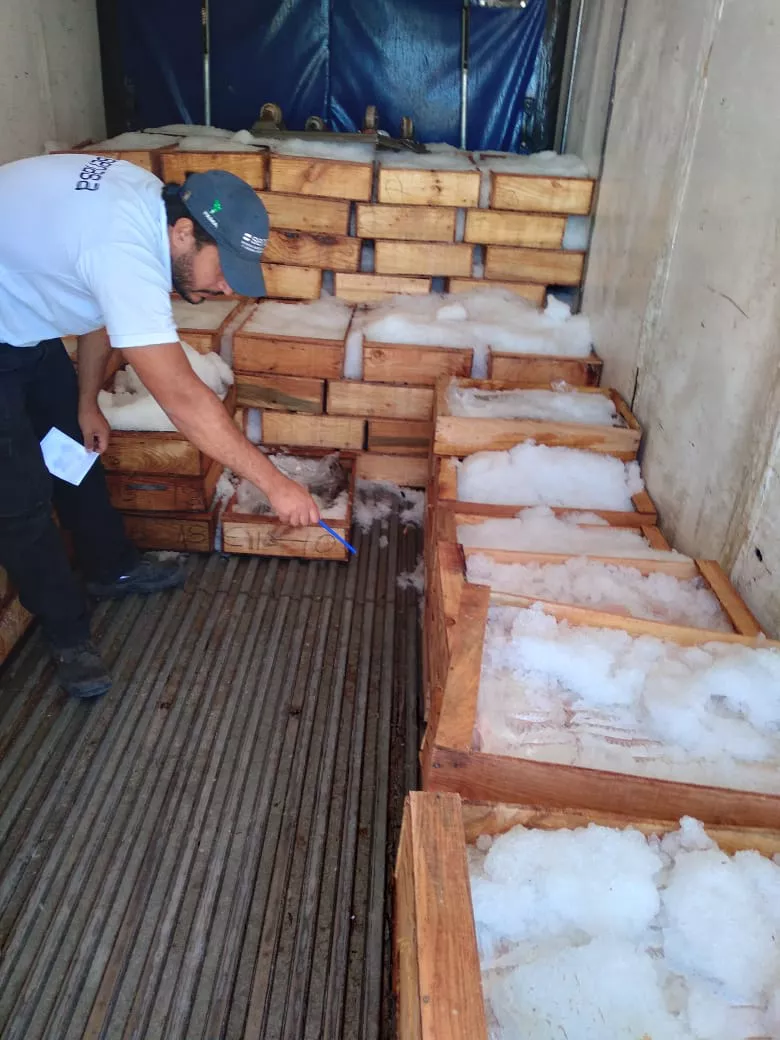 71a41554-9eb3-41ba-8895-6bf50ab10912