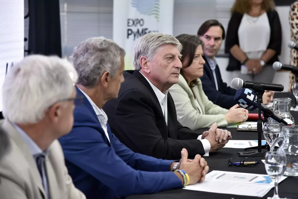 1380775__dsc9456-copia