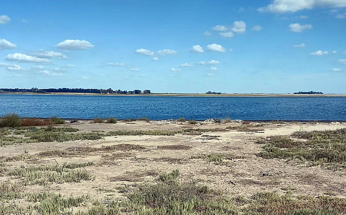 0f427154-d80a-458f-a2a4-e473112c4add