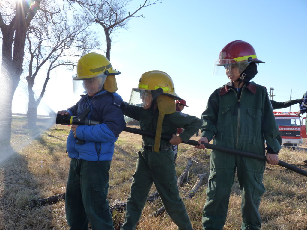 P1210889 (FILEminimizer)