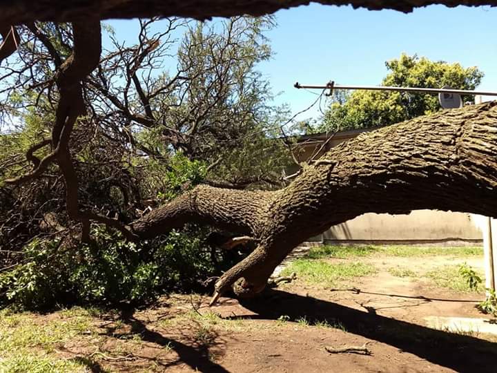 FB_IMG_1546189632017