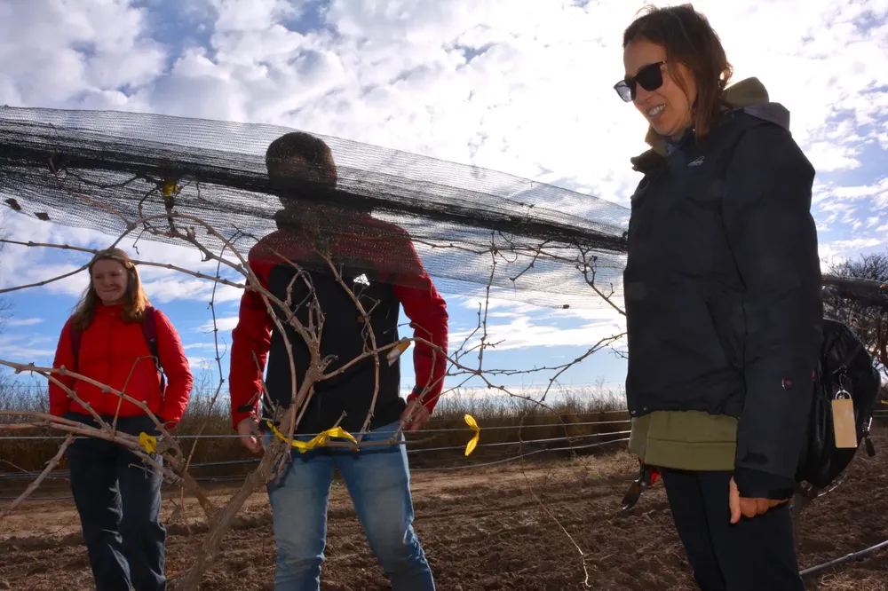 456149_img-20230706-wa0056