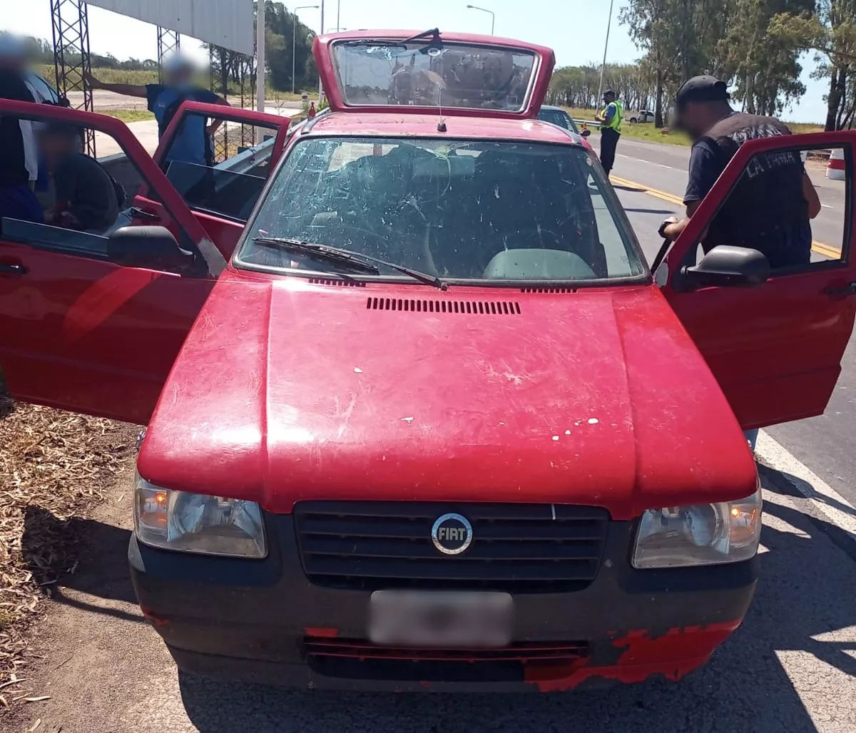 608f3105-81ae-4537-b111-ae8deb63a389