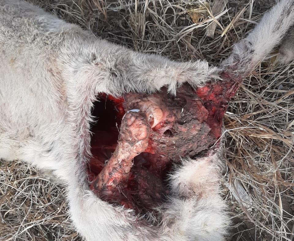 34732ea6-c36a-42a5-8878-30deaaabbc34