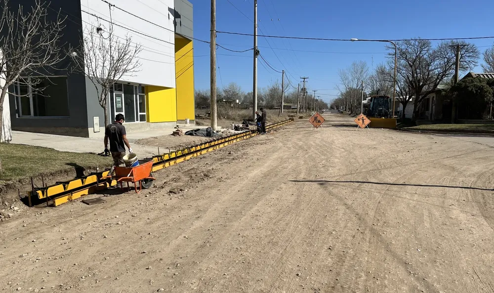 cordones realico 5 (FILEminimizer)