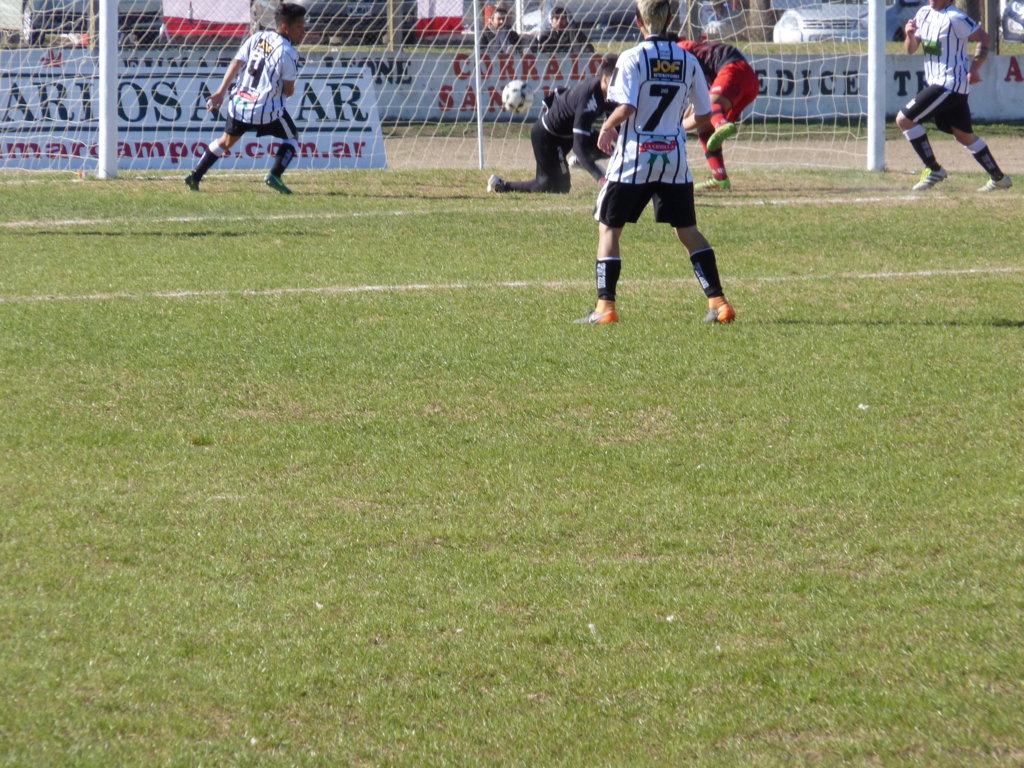 P1250581 (FILEminimizer) - copia