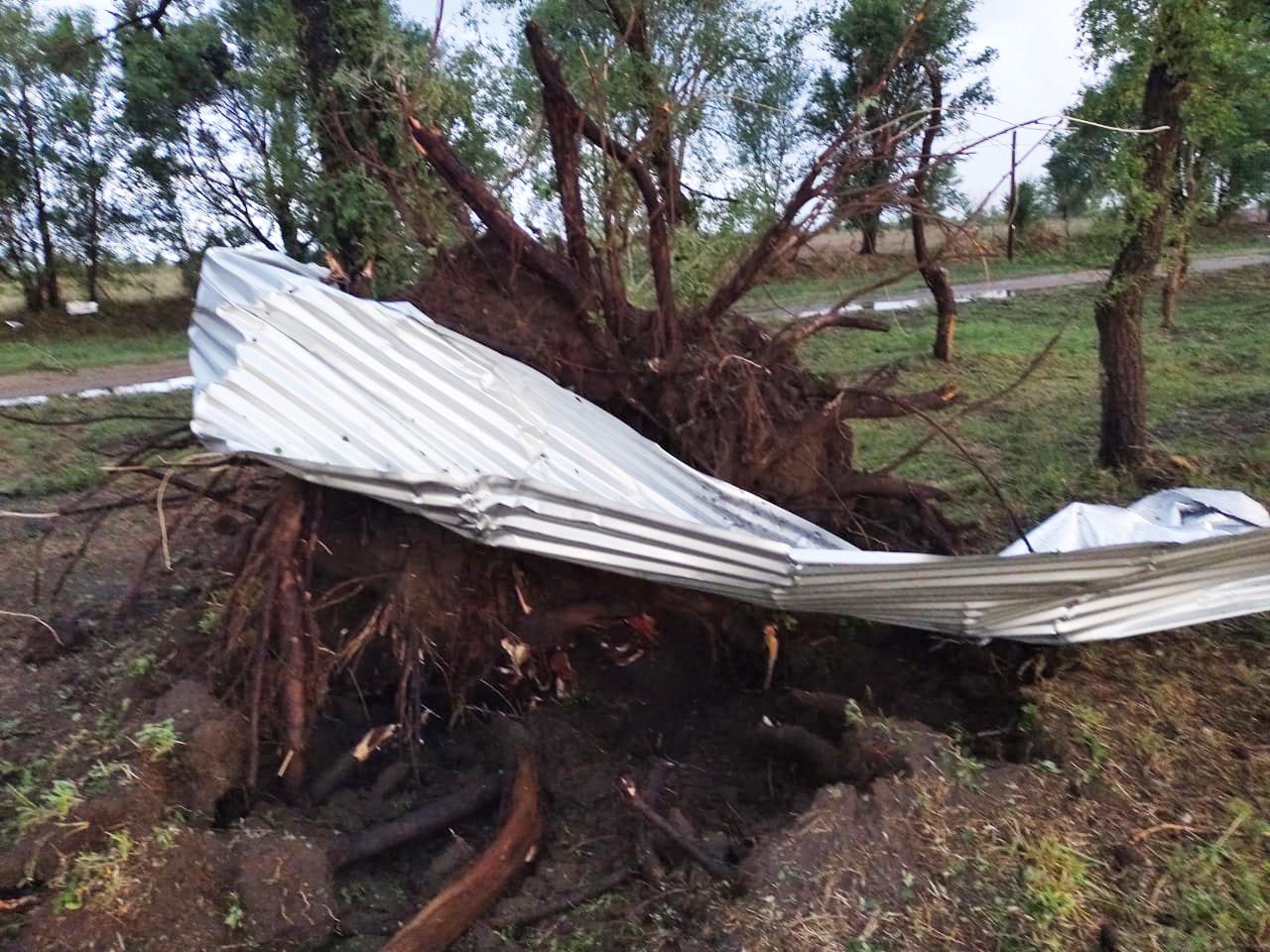 bf5496f2-539a-4b98-aa74-592570ce24d2