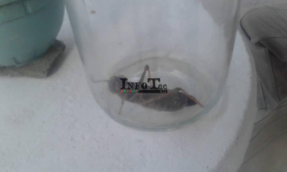 49676598_2022812611138101_3011515198327488512_n