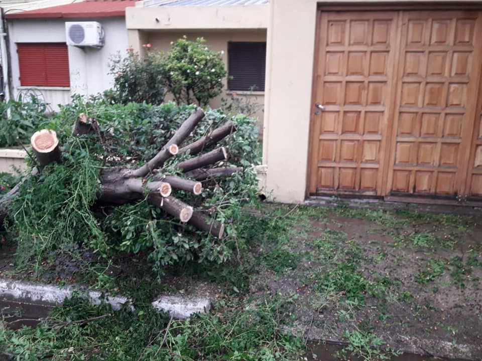 TORMENTA TESTA 4