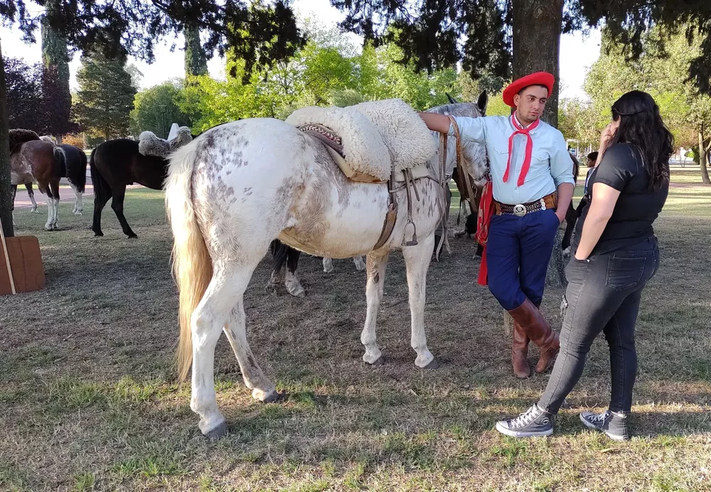 quetre 4 (FILEminimizer)